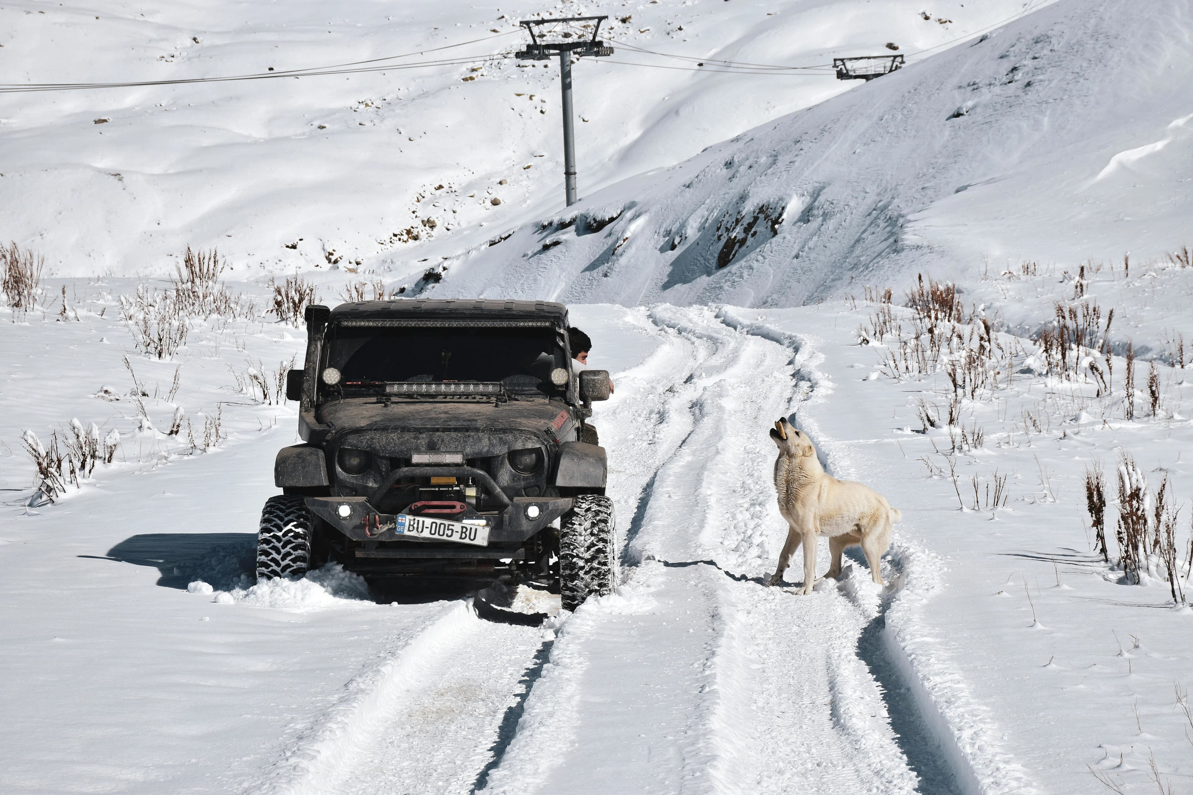 Kashmir cab service fleet